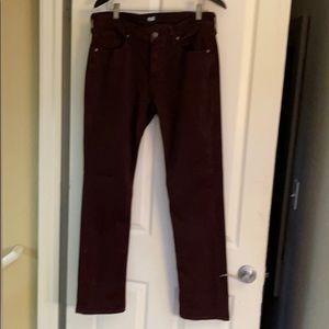 Paige federal - 33x34 -maroon